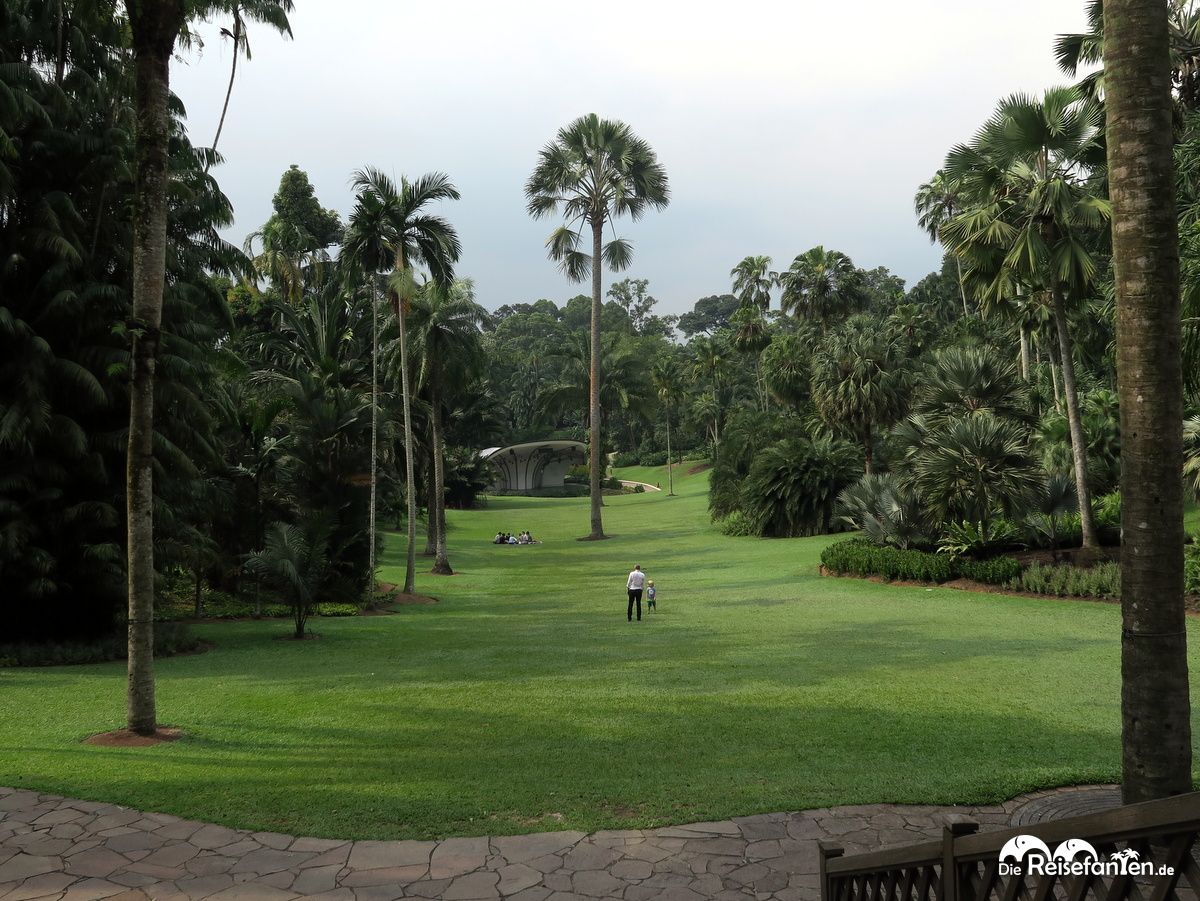 Große Wiese im Botanischen Garten in Singapur