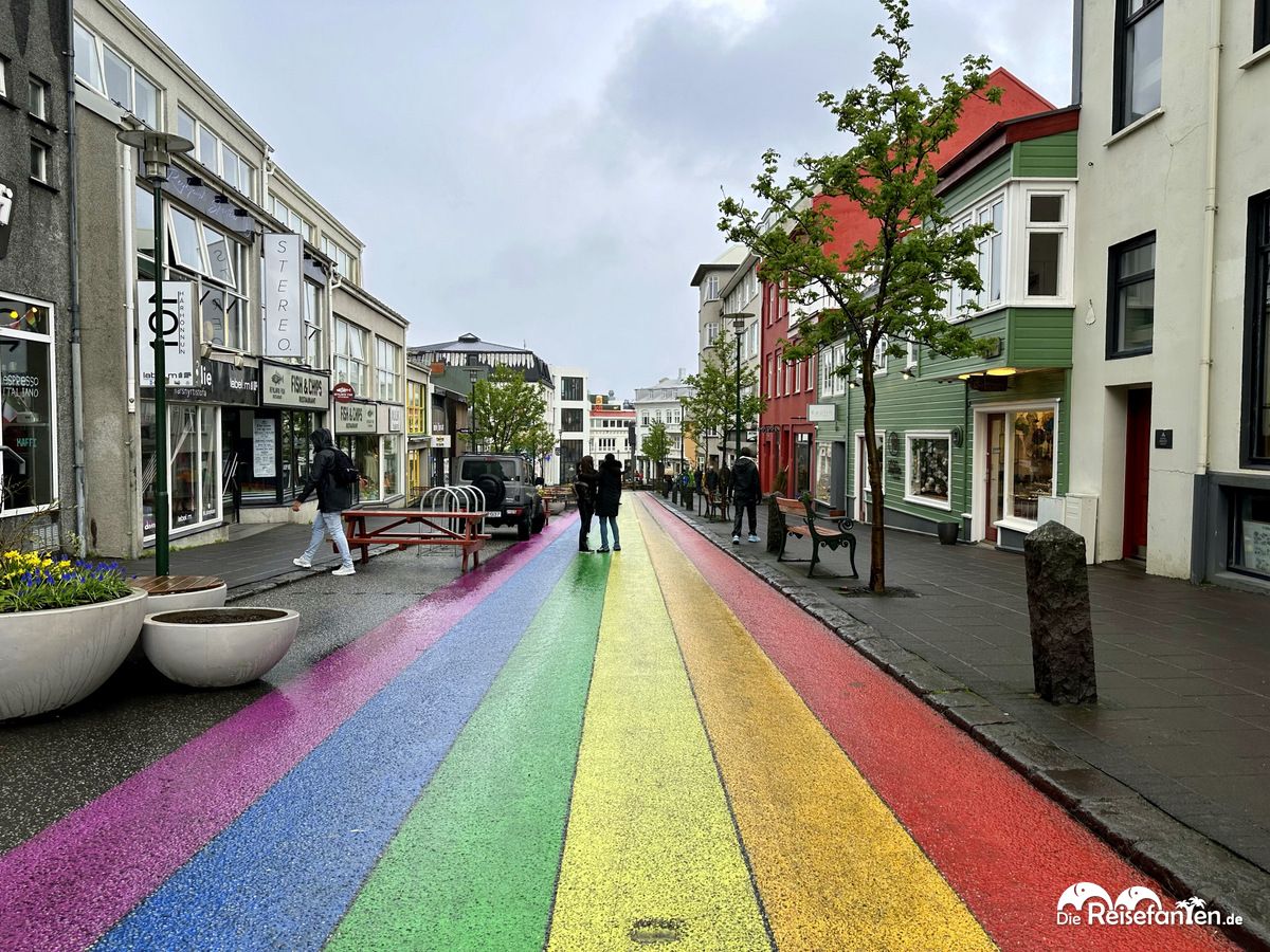 Reykjavik 5